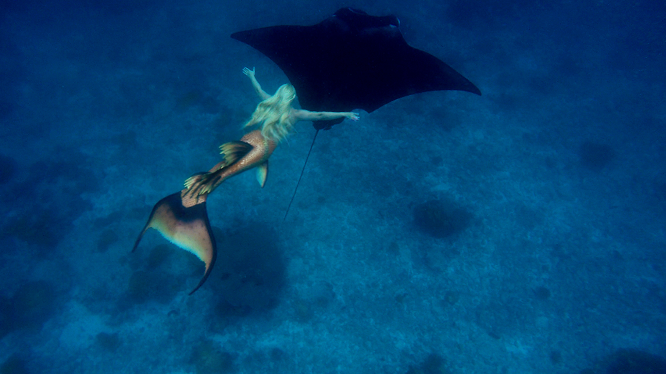 mermaid-melissa-manta-ray-flying-australia
